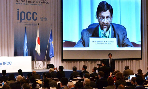 Global food shortages may spark violence in vulnerable areas: UN