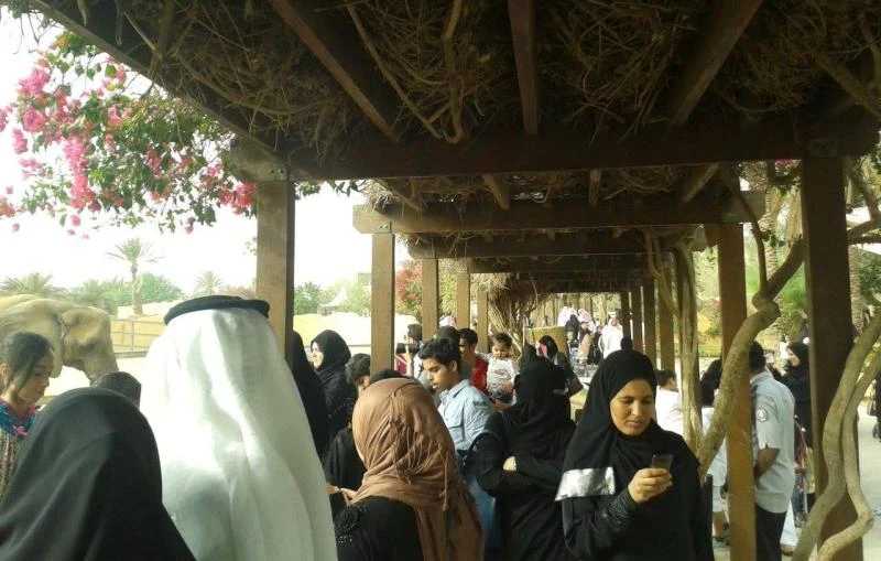 Riyadh Zoo attracts huge number of family visitors