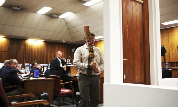 Pistorius trial: cricket bat, toilet door in court