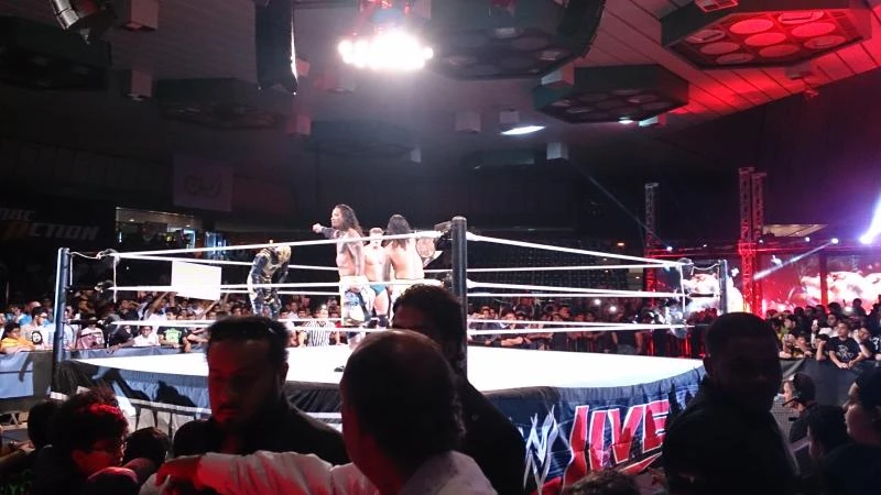 Wrestling show wows fans; Cena beats Orton
