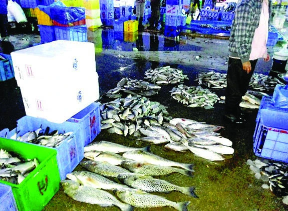 High prices lead EP consumers to boycott fish market