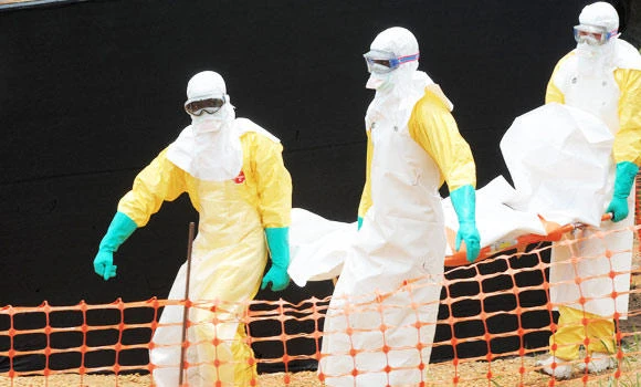 Five new Ebola cases in Guinea in 24 hours: WHO