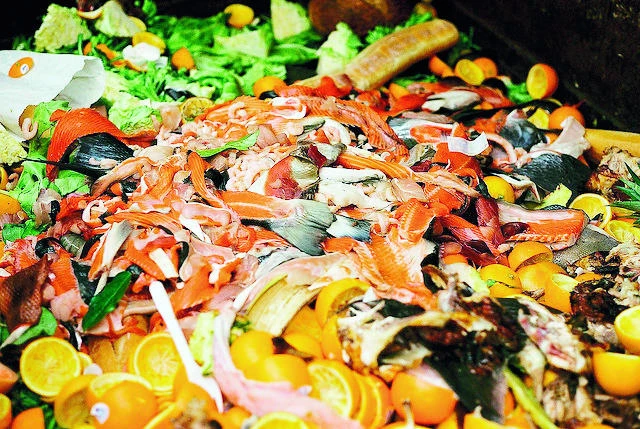 Environmentalists alarmed at food wastage