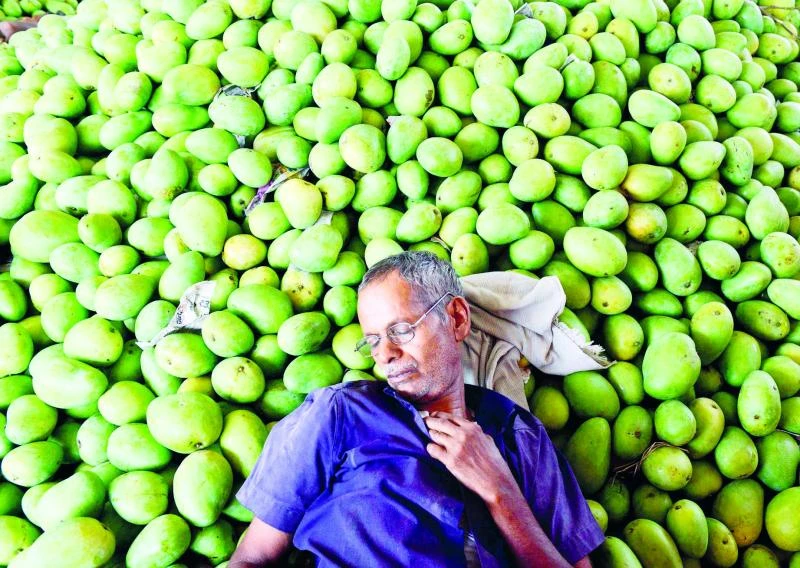 India irked by EU mango ban
