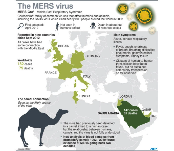 MERS contained, says Health Ministry official