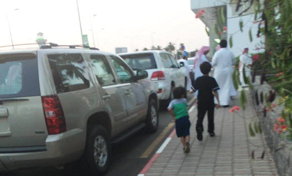 2 Saudi women arrested ‘on way to join Al-Qaeda’