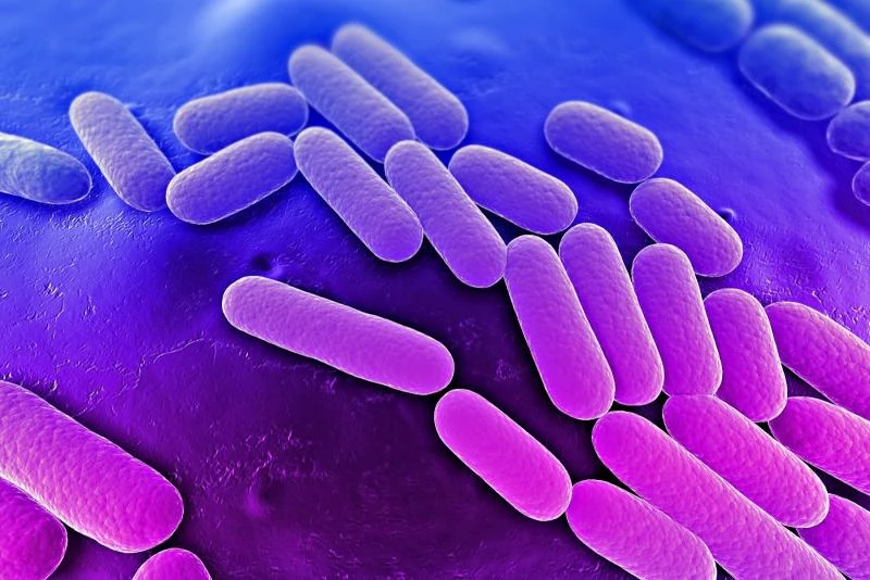 'Superbugs' that can overpower antibiotics are spreading, warns WHO