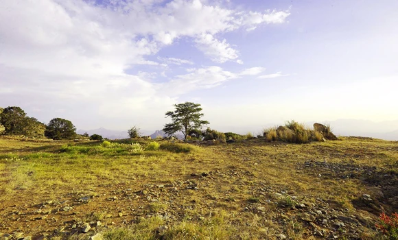 Sights of Saudi Arabia