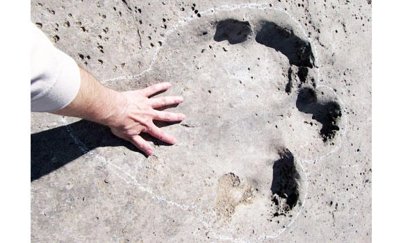 Turkmenistan’s plateau famous for fossilized dinosaur tracks