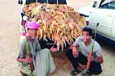New environmental police to arrest wildlife poachers