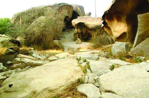 Forgotten dwellers of Mount Shada