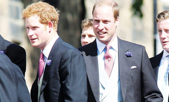 Memphis crowd gathers for William, Harry