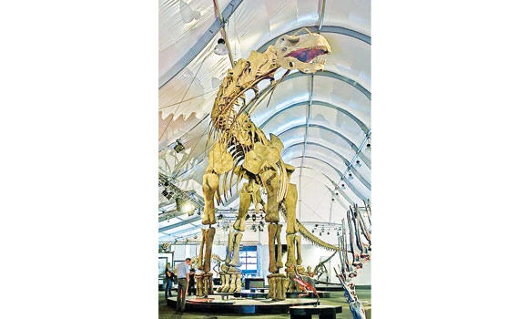Argentinosaurus is world’s biggest dinosaur