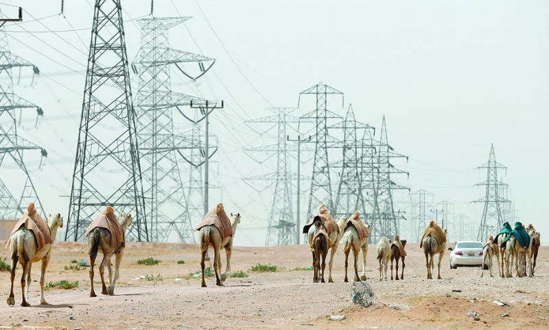 Camel breeders told to take precautions