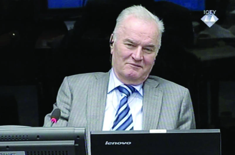 ‘Serbs fought in self-defense’, Mladic witness tells UN court