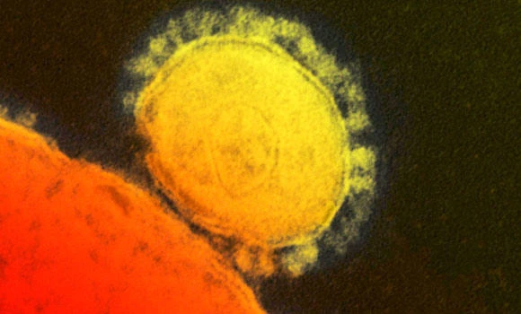 Iran reports 1st MERS casualty