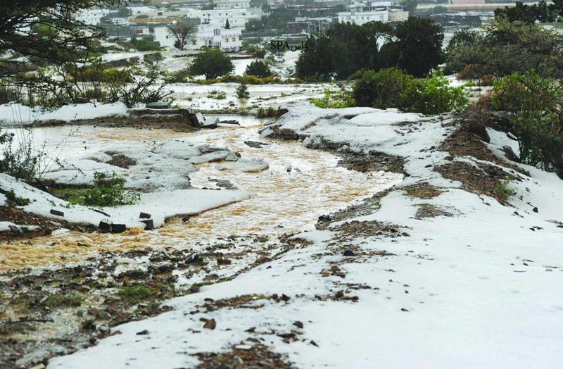 Jazan floods claim 3 lives