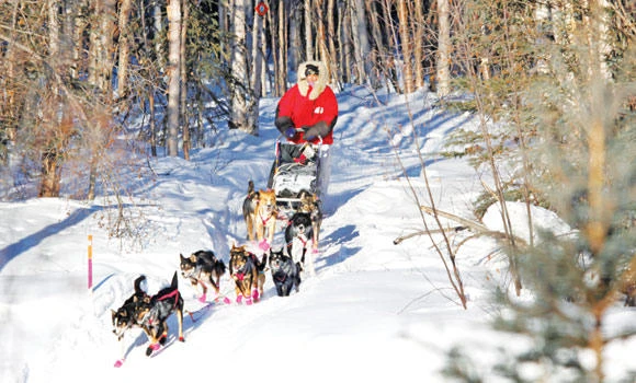 From catwalk to sledging, she reigns everywhere …