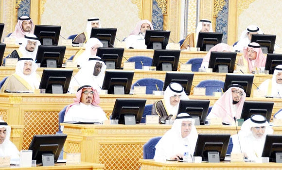 Shoura seeks steps to ensure power supply