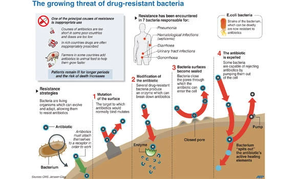 Report on antibiotic resistance reveals worldwide threat to public health