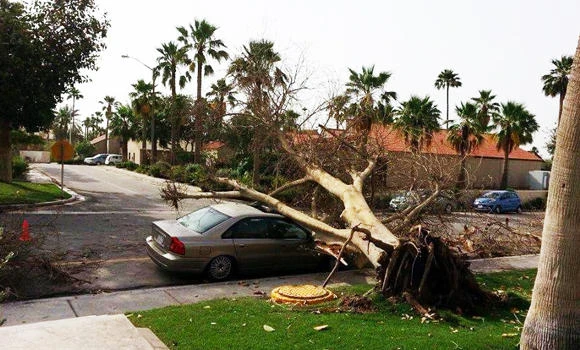 Power outage hits EP after sandstorms