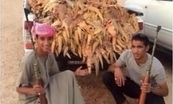 Suspects in ‘dhab massacre’ arrested