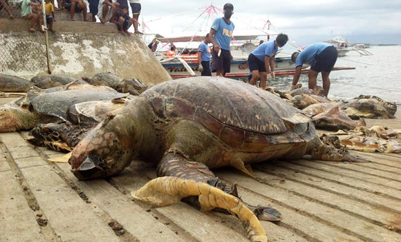 Philippines charges 9 Chinese fishermen with poaching