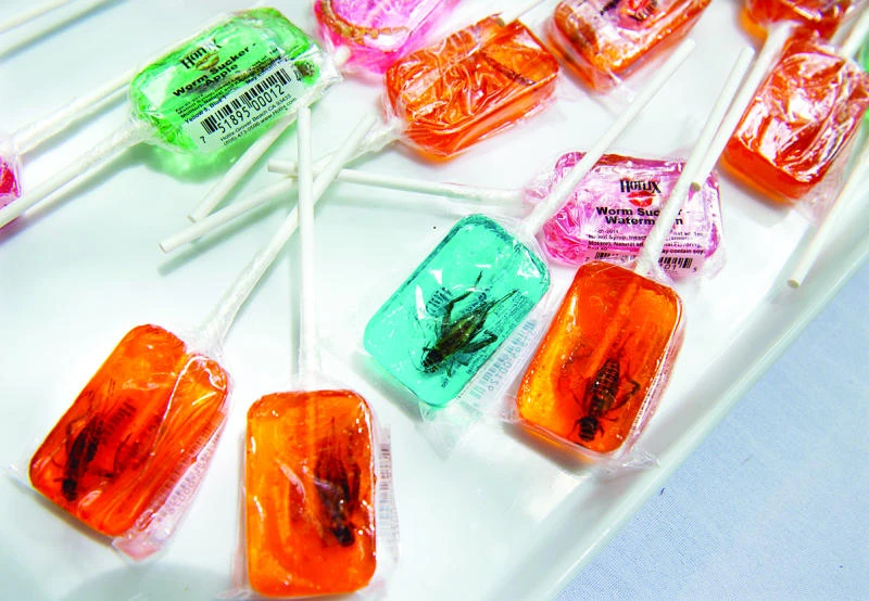 Welcome to the future: Feasting on scorpions, grasshoppers
