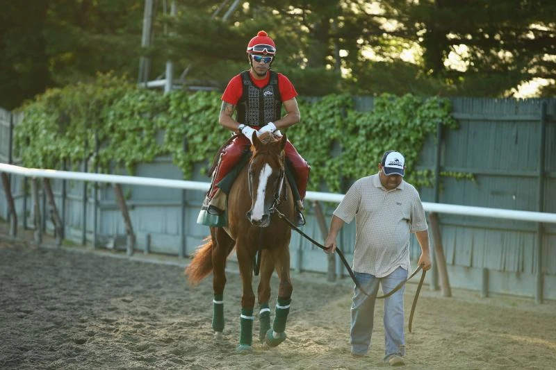 California Chrome one win away from immortality