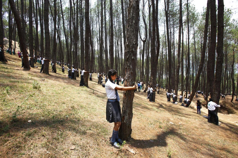 2,000 Nepalese tree-huggers claim world record