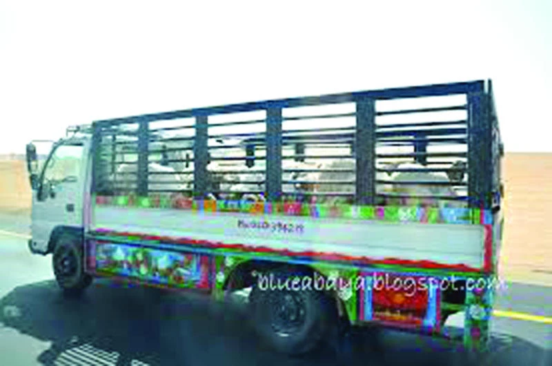 Riyadh cracks down on trucks violating city entry schedule