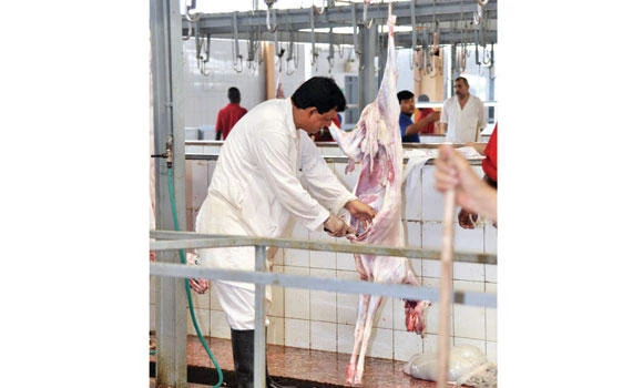 Makkah Municipality to keep holy sites clean