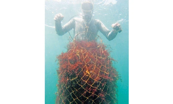 Hard times for ‘red gold’ divers in Morocco’s El Dorado