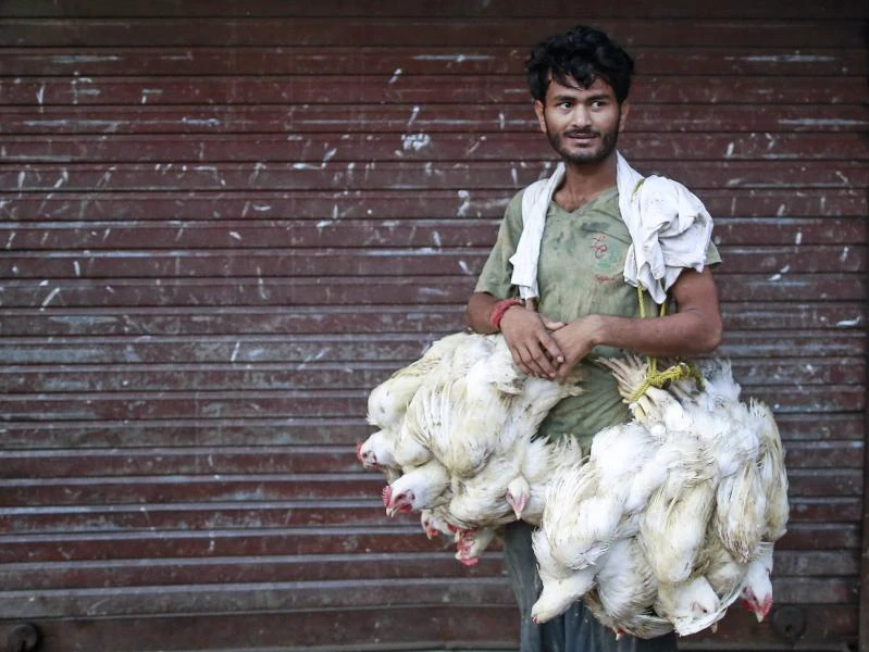 India inflation slows to 5-year low