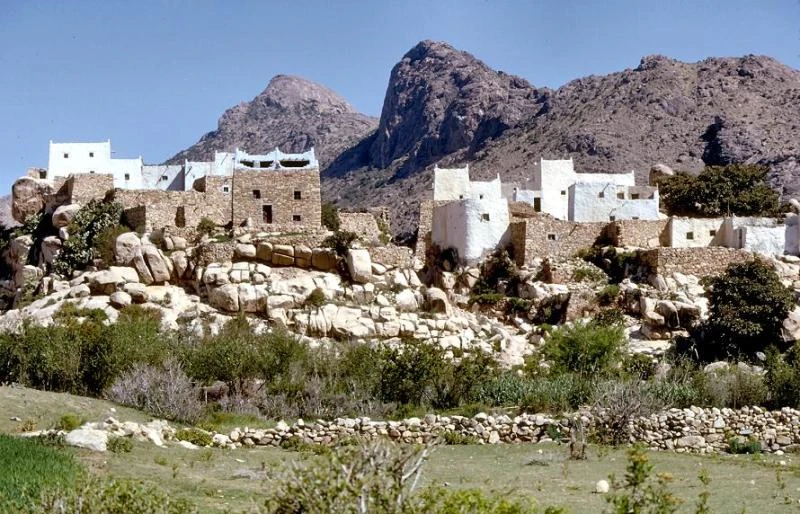 Efforts to maintain urban heritage in Asir under way