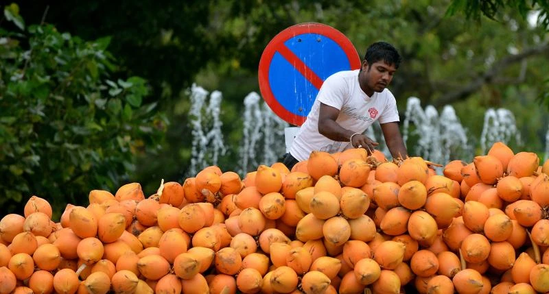 Sri Lanka president’s party narrowly clears vote test