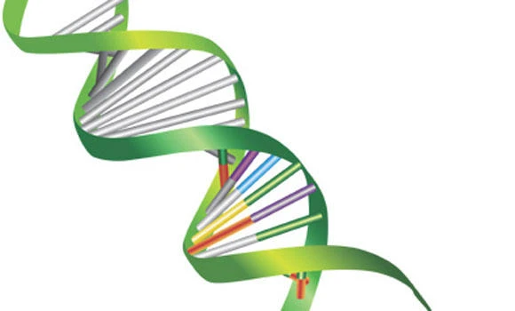DNA tests nail a two-decade lie