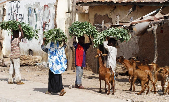Boko Haram overrun Nigerian town; scores killed