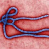 Questions about a stealthy virus