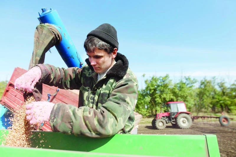 Wheat production to reach new record
