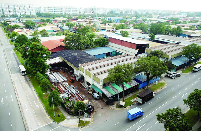 Tax breaks lure skilled Southeast Asians home