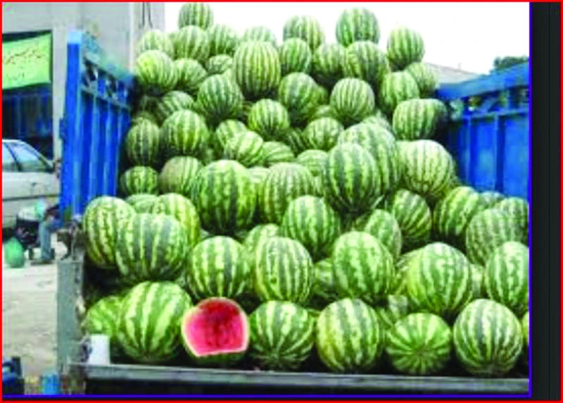 Strict measures urged to curb underground economy