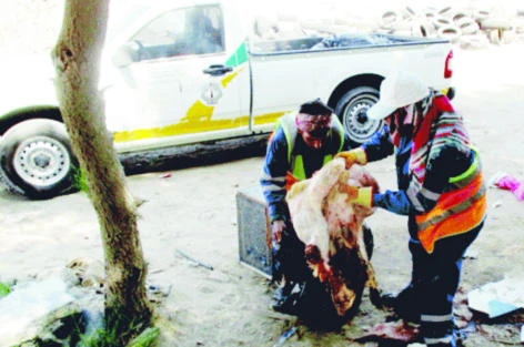10 held for public slaughter of sheep