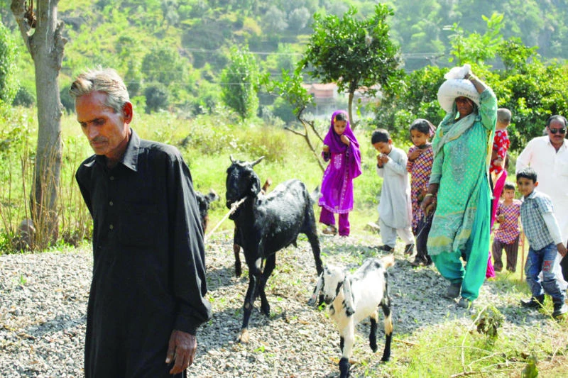 Indo-Pak border tension: UN urged to resolve crisis