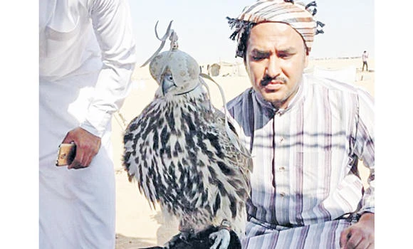 SR210,000: Price of a falcon