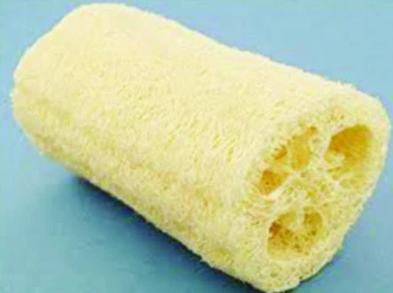 Loofah ‘can cut Mina aircon cost’