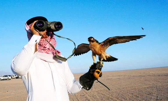 Authorities warn against hunting migrant birds to avoid bird flu