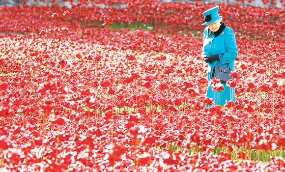 Tower of London’s poppy installation creates national sensation