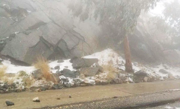 Civil Defense rescues 15 in Taif