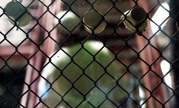 Govt trying to bring nine more Gitmo inmates home